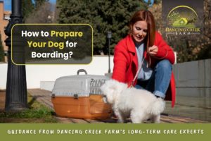 Prepare dog for boarding