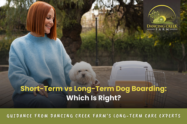 long term dog boarding