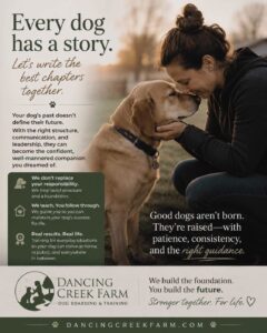 virginiadogtrainer