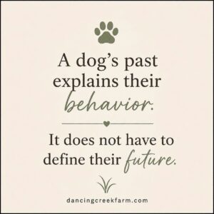 Canine Imprinted Behaviors: Trauma's Lasting Effects