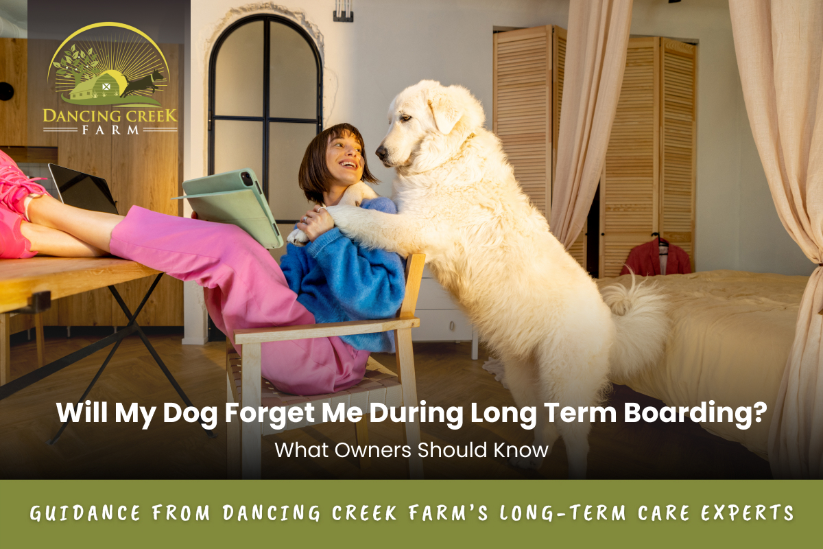 long term boarding
