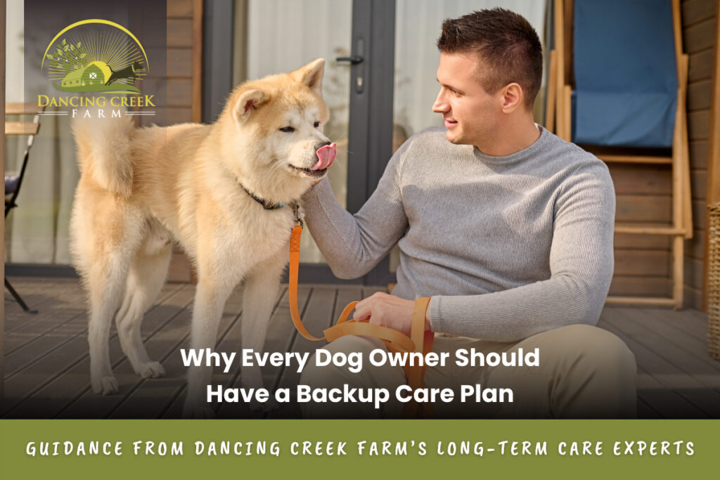 backup care plan for dogs