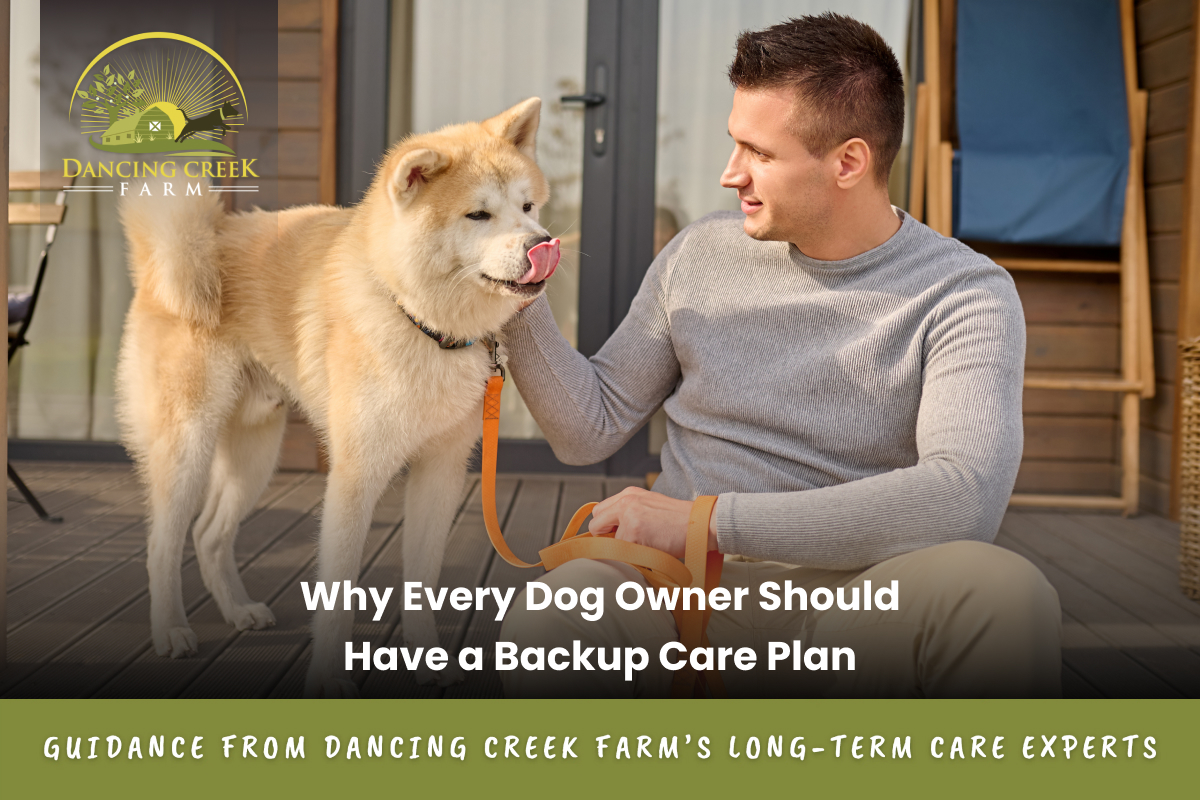 backup care plan for dogs