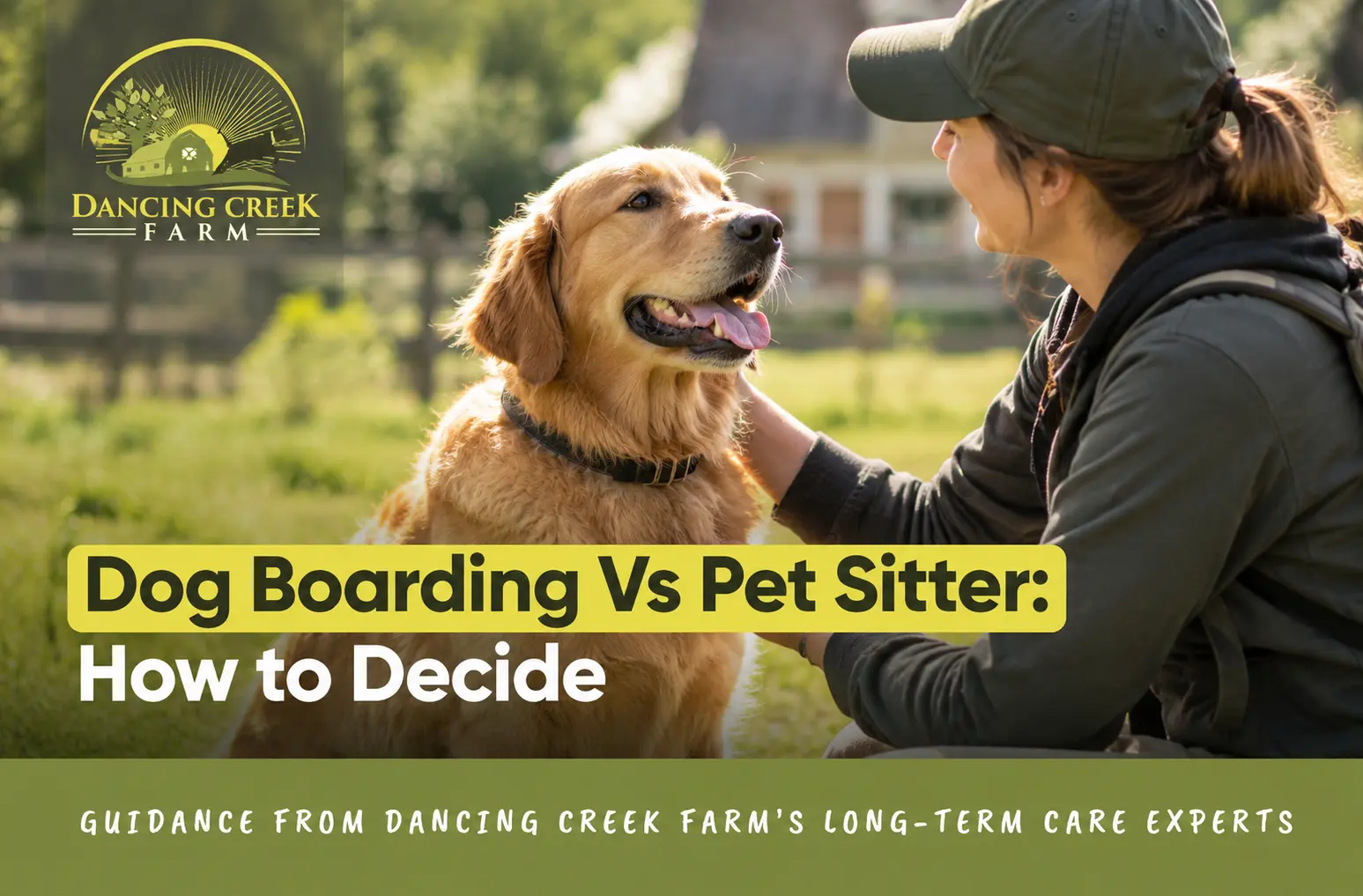 Dog boarding vs pet sitter: how to decide where to leave your dog while traveling
